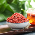 Hot sale wolfberry/goji berries for weight loss